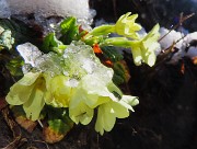 Sulle nevi del Monte Zucco da S. Antonio Abbandonato il 20 febbraio 2026 - FOTOGALLERY
